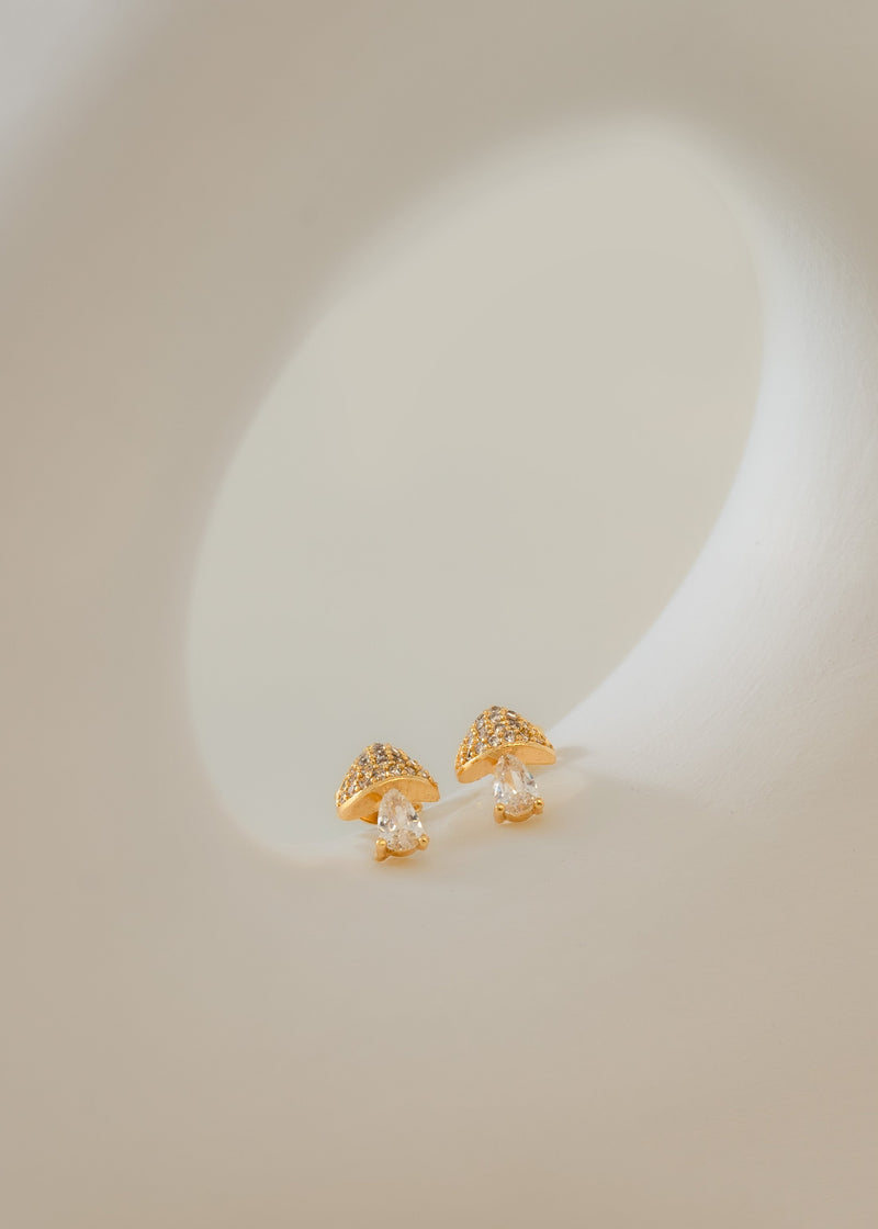 Aretes mushroom